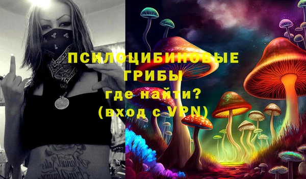 бошки Алексеевка