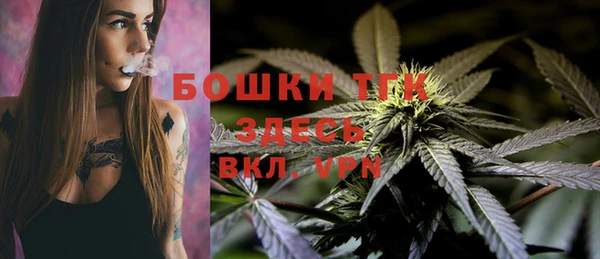 PSILOCYBIN Алзамай